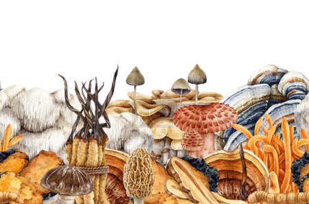 Photo for Medicinal different mushrooms seamless border. Watercolor illustration. Various painted medicinal fungi in vintage style decor border. Reishi, cordyceps, turkey tail medical mushroom element. - Royalty Free Image