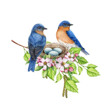 Pair of bluebirds on the nest with spring flowers and green leaves. Watercolor illustration. Cute cozy flower decor with nest, eggs, birds, pink tender spring flowers. Rustic style floral decoration.