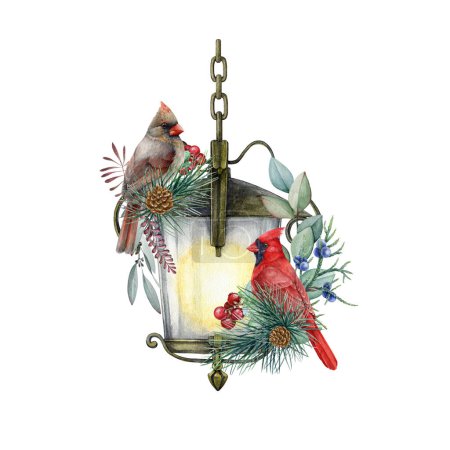 Photo for Winter festive cozy decoration. Red cardinal bird couple on a vintage style lantern. Watercolor painted illustration. Red cardinal birds, vintage lantern, pine branch, berries winter decor element. - Royalty Free Image