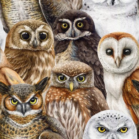 Owl bird seamless pattern. Watercolor painted illustration. Hand drawn different owls seamless pattern. Vintage style realistic illustration. Barn, pigmy, polar, snow owl element images.