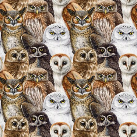 Owl bird seamless pattern. Watercolor painted illustration. Hand drawn different owls seamless pattern. Vintage style realistic illustration for print. Barn, pigmy, polar, snow owl endless background.