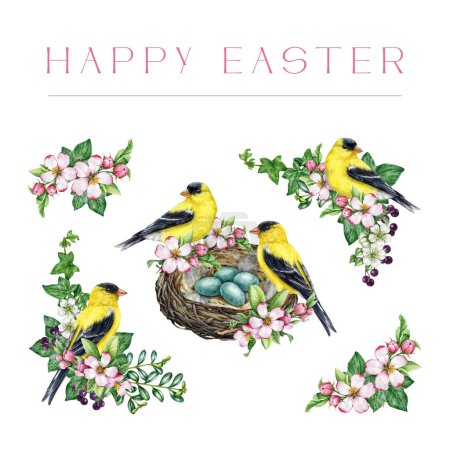 Vintage style Easter floral decor set with garden birds. Watercolor illustration. Hand drawn spring flowers, goldfinch birds, nest with eggs decor. Easter tender festive collection. White background.