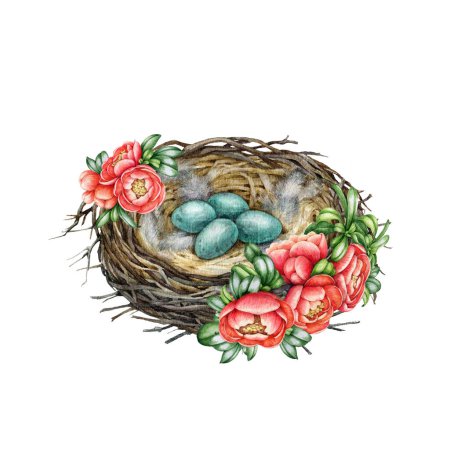 Vogelnest mit Eiern mit Frühlingsblumen-Dekor. Aquarell gemalte Illustration. Handgezeichnete gemütliche Frühlingsdekoration. Vogelnest mit Eiablage und blühenden Quittenblüten. Weißer Hintergrund. 