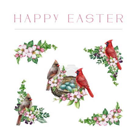 Floral Easter decoration set with birds. Watercolor illustration. Hand drawn vintage style spring flowers, red cardinal birds, nest with eggs decor. Easter tender collection. White background.