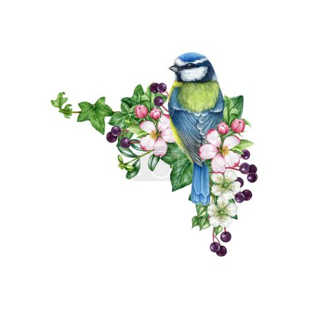 Photo for Springtime vintage style decoration element with bird and flowers. Watercolor illustration. Hand drawn blue tit bird with garden flowers, elderberry, ivy leaves. Spring season cozy decor isolated. - Royalty Free Image