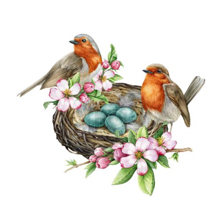 Birds on the nest vintage style decor element. Watercolor illustration. Hand drawn robins on the nest with egg laying, spring garden flowers, green leaves. Springtime decoration. White background.