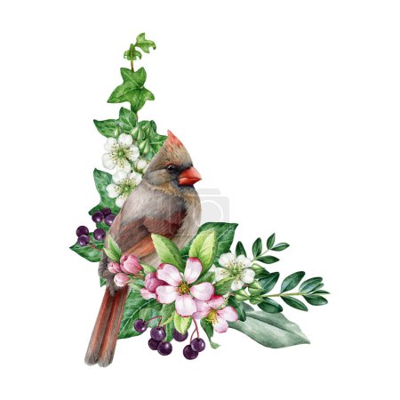 Photo for Vintage style spring time decor with garden bird and flowers. Watercolor illustration. Hand drawn red cardinal bird, garden flowers, berries, ivy, leaves element. Spring season painted cozy decor. - Royalty Free Image