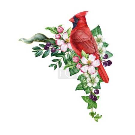 Photo for Vintage style spring time decor with garden bird, flowers. Watercolor illustration. Hand drawn red cardinal bright bird, garden flowers, berries, ivy, leaves element. Spring season painted cozy decor. - Royalty Free Image