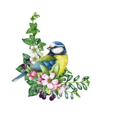 Photo for Spring season vintage style decor with bird and flowers. Watercolor illustration. Hand drawn blue tit bird, garden flowers, elderberry, ivy, leaves element. Springtime painted cozy decor isolated. - Royalty Free Image