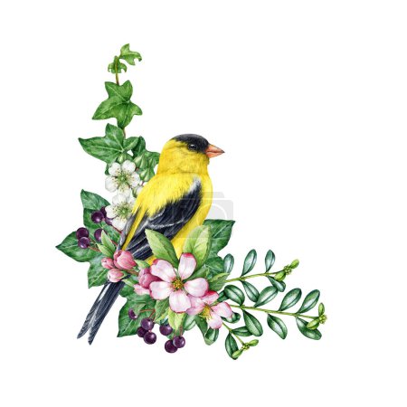 Spring cozy decor with bird and flowers. Vintage style watercolor illustration. Hand drawn goldfinch bird with garden flowers, elderberry, ivy leaves. Springtime decoration element. White background.