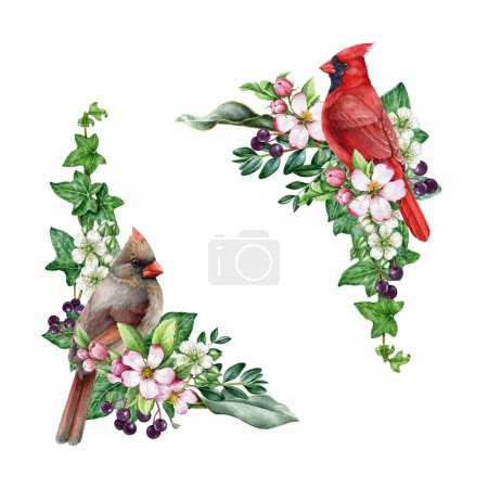 Photo for Vintage style spring time decor set with garden bird and flowers. Watercolor illustration. Hand drawn red cardinal bird, garden flowers, berries, ivy, leaves element. Spring season painted cozy decor. - Royalty Free Image