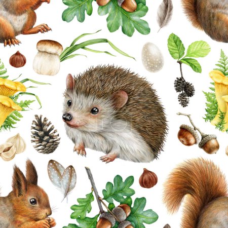 Vintage style forest animals with natural elements seamless pattern. Watercolor illustration. Hand drawn squirrel, hedgehog, mushroom, acorn, cone elements. Wild woodland animals seamless pattern.