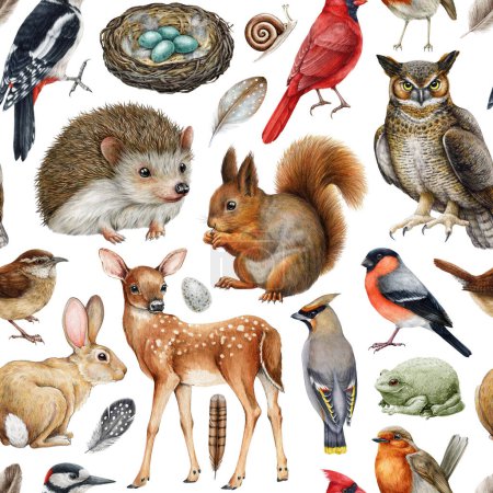 Photo for Forest animals seamless pattern. Watercolor painted illustration. Hand drawn forest wild animals and birds seamless pattern. Squirrel, hedgehog, owl, deer, robin, wren elements. White background. - Royalty Free Image