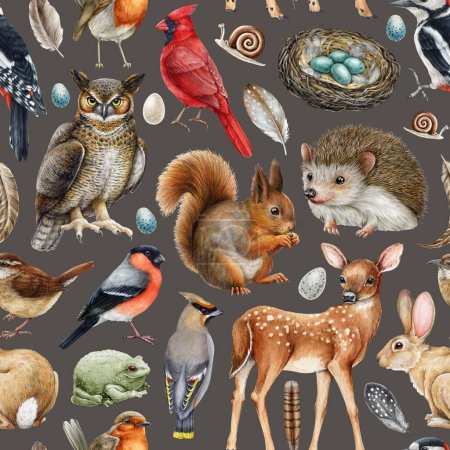 Forest animals seamless pattern. Watercolor painted illustration. Different forest wild animals and birds seamless pattern. Squirrel, hedgehog, owl, deer, robin, wren elements. Dark background.