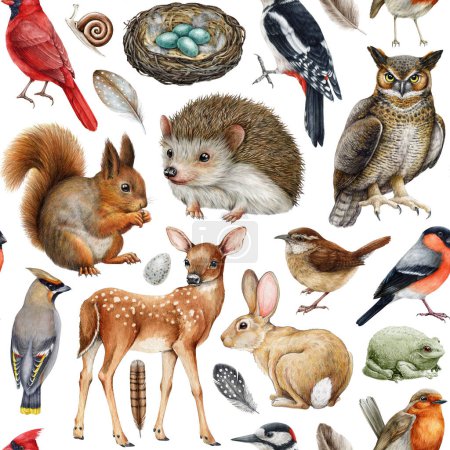 Photo for Hand drawn forest animals seamless pattern. Watercolor painted illustration. Different forest wildlife animals and birds seamless pattern. Squirrel, hedgehog, owl, deer, robin, wren elements isolated. - Royalty Free Image