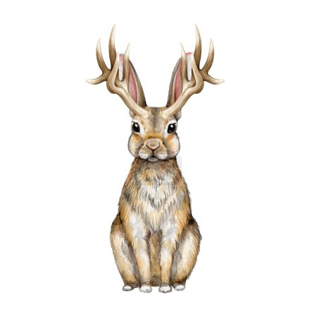 Jackalope mythe lapin créature aquarelle illustration. Animal folklorique sauvage dessiné à la main. Lapin avec cornes illustration de style vintage. Image de chacalope assis sur fond blanc.