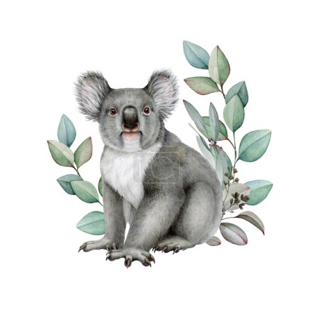 Cute koala with eucalyptus leaf decor. Watercolor illustration. Hand painted wildlife Australian native animal. Grey koala bear with eucalyptus floral decoration element. White background.