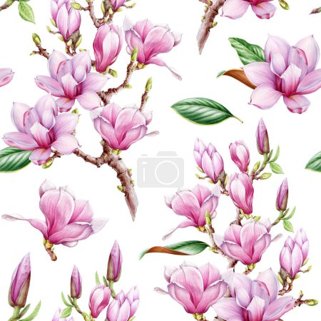Magnolia pink flowers seamless pattern. Watercolor vintage style illustration. Hand drawn spring tender blossoms on white background. Magnolia flowers spring season seamless pattern decor element.