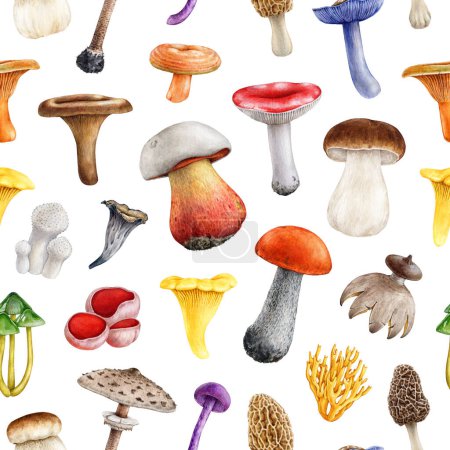Forest mushrooms seamless pattern. Watercolor painted illustration. Hand drawn different mushroom elements. Painted various forest fungi seamless pattern on white background.
