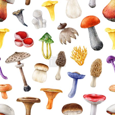 Forest mushroom seamless pattern. Watercolor painted illustration. Hand drawn different mushroom element collection. Painted various forest fungi seamless pattern on white background.