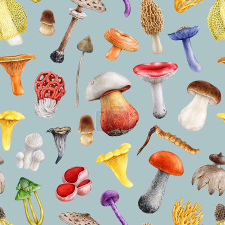 Photo for Bright different mushrooms seamless pattern. Hand drawn watercolor illustration. Various fungus elements seamless pattern. Colorful mushroom collection. Light color background. - Royalty Free Image