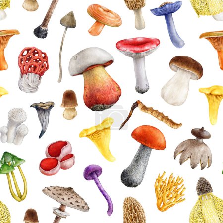 Photo for Different bright mushrooms seamless pattern. Watercolor painted illustration. Hand drawn various fungi seamless pattern. Mushroom collection illustration on white background. - Royalty Free Image