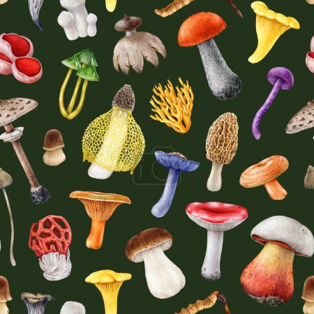 Photo for Different bright mushrooms seamless pattern. Hand drawn watercolor illustration. Various fungus elements seamless pattern. Colorful mushroom collection. Dark color background. - Royalty Free Image