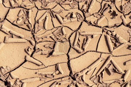 Foto de Structure of cracked earth from natural drought. - Imagen libre de derechos