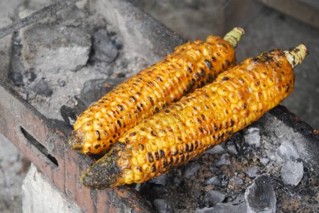 Reifer gelber Mais wird auf dem Grill mit flammender Holzkohle gegrillt, bereit zum Servieren.