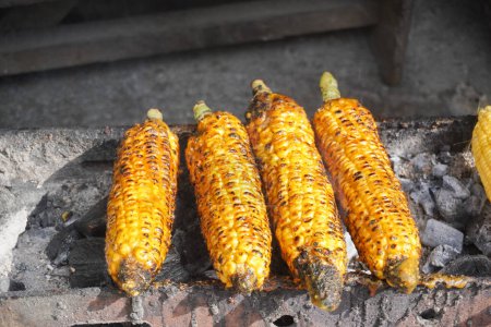 Ripe yellow corn being grilled on the grille with flaming charcoal, ready to serve.