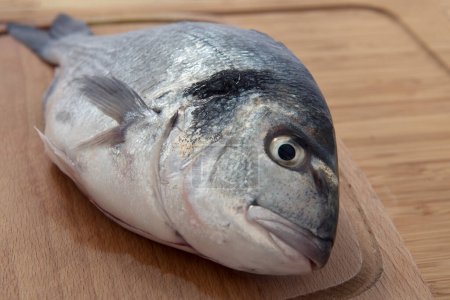 Großaufnahme von frischem Fisch Sparus aurata auf Holztisch.