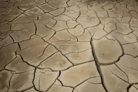 Global warming drying dry mud cracks shining in heat.