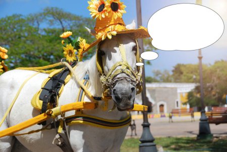 Imagen divertida con idea de burbuja caballo blanco con sombrero de girasol en la plaza.