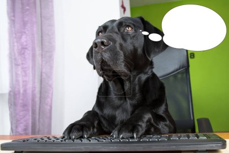 Foto de Imagen divertida con idea de burbuja perro mirando la pantalla del ordenador. - Imagen libre de derechos