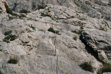 Foto de Equipo de primer plano de escalador con cuerda en la roca. - Imagen libre de derechos
