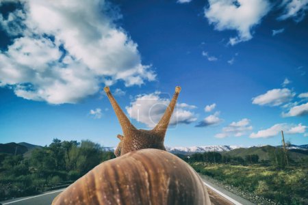 Soft focus of snail seen from behind on the road in nature with blue sky and clouds.