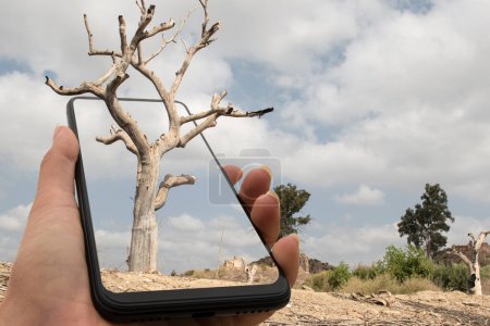 Foto de Imagen compuesta del teléfono móvil con un árbol muerto en la naturaleza. - Imagen libre de derechos