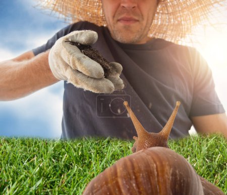 Soft focus of snail viewed from behind on fresh green grass and gardener.