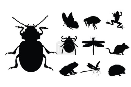 Illustration for Collection vectors of insect and small animal on white background. Symbol of beetle, butterfly, flea, frog, dragonfly, mouse, hedgehog, tick, forest, meadow, logo, sign. - Royalty Free Image