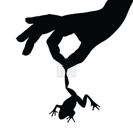 Illustration for Vector silhouette of the person who abuses the frog on white background. Symbol of animal, evil, hurt, torment, bother. - Royalty Free Image