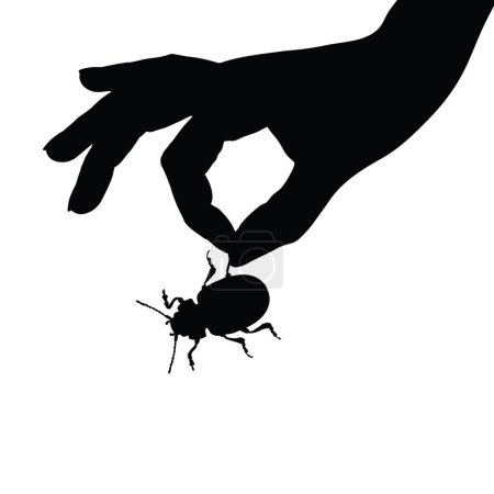 Illustration for Vector silhouette of the person who abuses the beetle on white background. Symbol of animal, insect, nature, evil, hurt, torment, bother. - Royalty Free Image