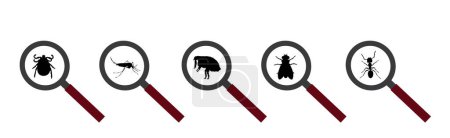 Illustration for Vector silhouette of flea and fly and tick and mosquito under magnifying glass on a white background. Symbol of parasites like set together. - Royalty Free Image