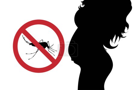 Téléchargez les illustrations : Silhouette vectorielle de la femme enceinte avec danger de virus Zika sur fond blanc. Symbole de maternité et de prévention des maladies. - en licence libre de droit