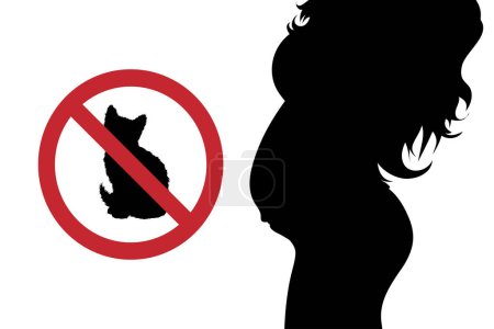 Téléchargez les illustrations : Silhouette vectorielle de la femme enceinte sans signe toxoplasmique sur fond blanc. Symbole de maternité et de prévention des maladies. - en licence libre de droit