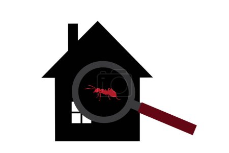 Ilustración de Silueta vectorial de hormigas en casa sobre fondo blanco. Símbolo de stop molesto insecto y casa infestada. - Imagen libre de derechos