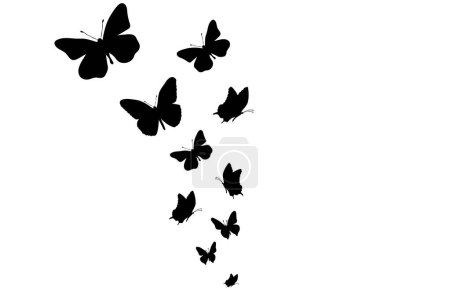 Illustration for Vector silhouette of butterflies on white background. Symbol of nature and insect. - Royalty Free Image