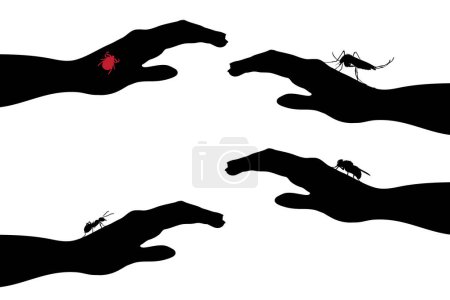 Ilustración de Vector silueta de conjunto de insectos sentado en la mano humana sobre fondo blanco. Símbolo de insecto que molesta a la gente. Peligro de enfermedades. - Imagen libre de derechos