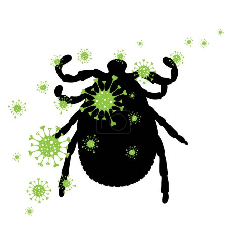 Illustration for Vector silhouette of tick spreading bacteria on white background. Symbol of annoying insect and danger of diseases. - Royalty Free Image