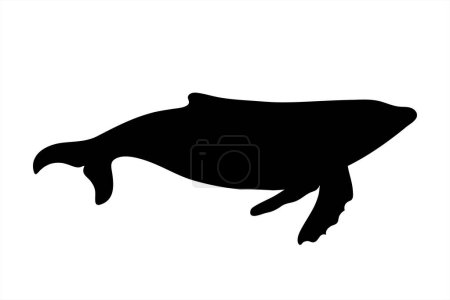 Téléchargez les illustrations : Silhouette vectorielle de baleine sur fond blanc. Symbole de l'animal marin. - en licence libre de droit