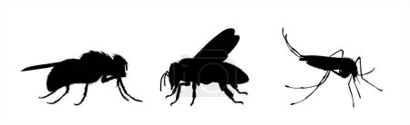 Ilustración de Conjunto de silueta vectorial de insectos sobre fondo blanco. Símbolo de animales molestos. - Imagen libre de derechos